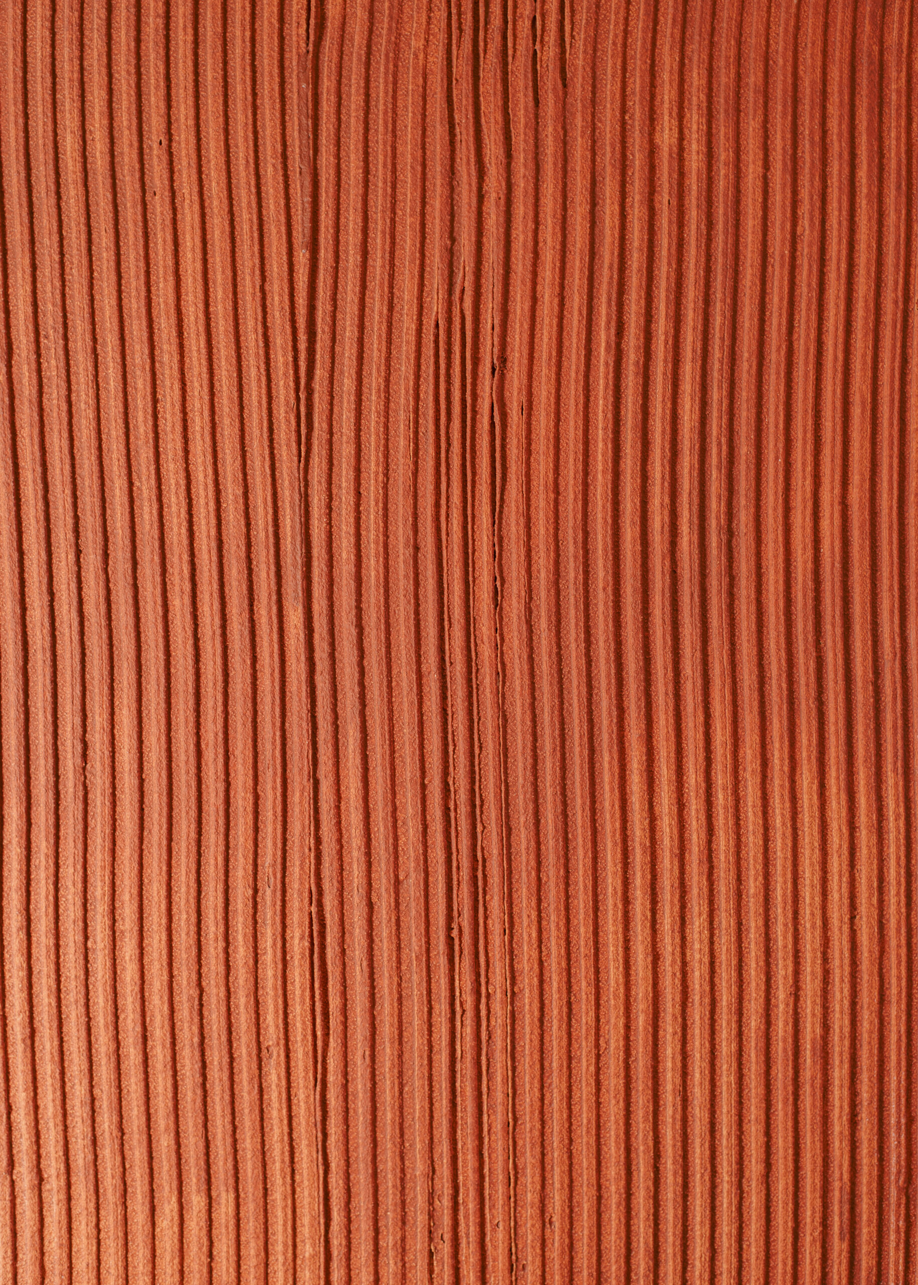 _DSC2476