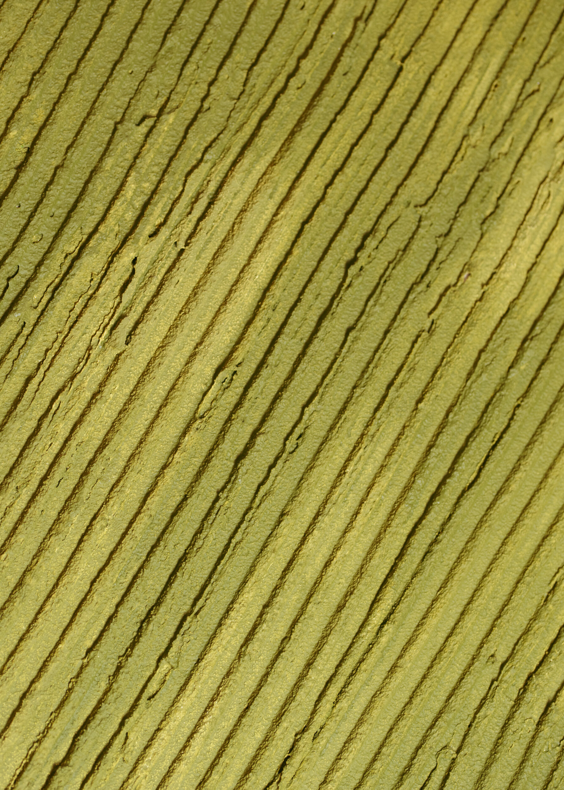 _DSC2539